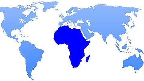 The African Billionaires 2012