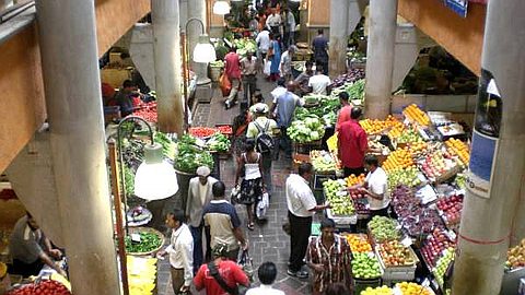 Tente Bazar : le Prix du Chou-Fleur Monte en Fleche