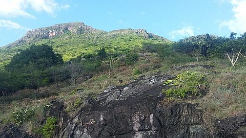 Fraude Foncière Alléguée de Rs 69 M: une Agence Immobilière Réputée en Eaux Troubles