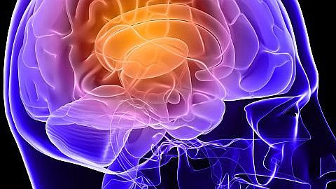 7 Foods That Boost Your Brainpower