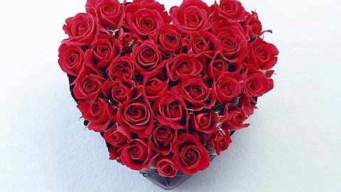 Sorties: Amour, Fou Rire et Soirées Dansantes