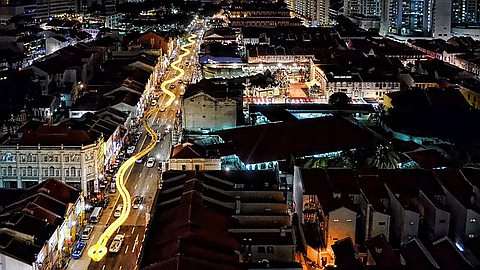 Picture of the Day: Singapore Snake Lantern