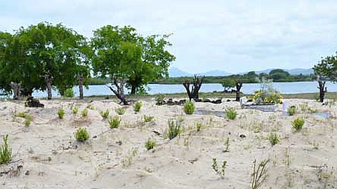 Poste-de-Flacq: la Plage de Choisy Bientôt Accessible
