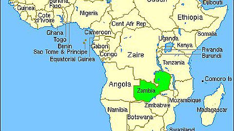 20 Mauritian Company Reps Court Zambians