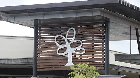 Trianon Shopping Park: quatre locataires sur cinq ne paient plus le loyer