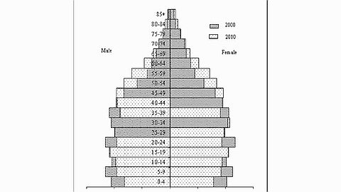 Population and Vital Statistics 2010 of Mauritius was published