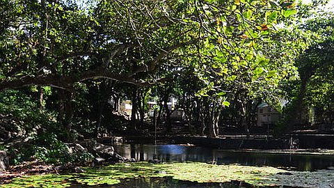 Trou-d’Eau-Douce: l’incontournable Débarcadère