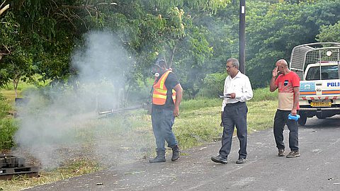 Un cas de dengue signalé à Vallée-des-Prêtres