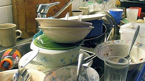 Twenty Restaurants Prohibited Operation