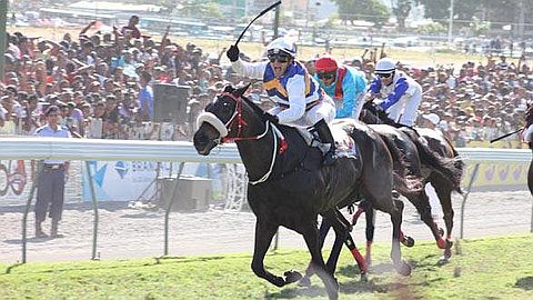 Horse Racing, 30th Day: New Match Between Intercontinental and Vettel