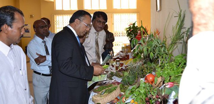 Youth Clubs Farmers and Agricultural Entrepreneurs