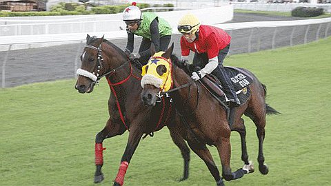 Burke Remains in Position with Stable Foo Kune