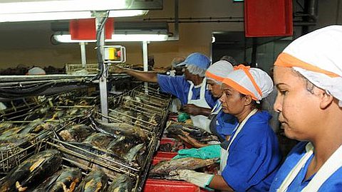 Lack of Water: Bluefin Mascarene Loses Rs 5 Million in Three Days