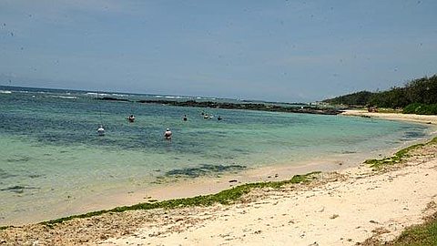 The Body of a Tourist Found in Palmar