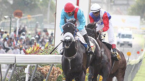 Horse Racing - 16th Day: Vettel Takes the Bicentenary Trophy