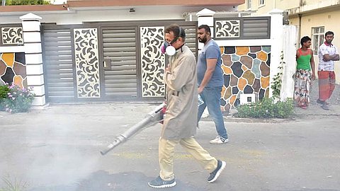 Dengue : 13 cas répertoriés dans l’île