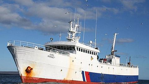 Illegal Fishing: Traffic of Shark Uncovered