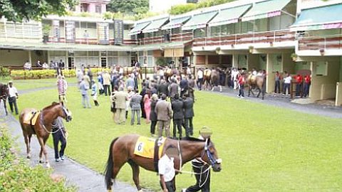 Evasion Fiscale: la MRA Réclame Près de Rs 10 M à des Propriétaires d’Ecuries