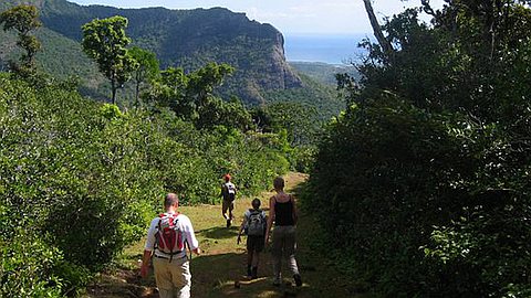 Trail, 2012 Season: First Departure Under the Sign of the Novelty