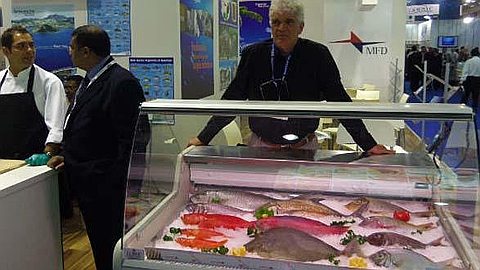 Le Fish Auction Market Cherche Preneur