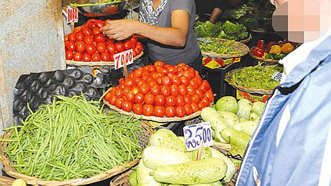 Prix des Légumes: Hausse de 5 à 10 % Dans les Prochains Jours