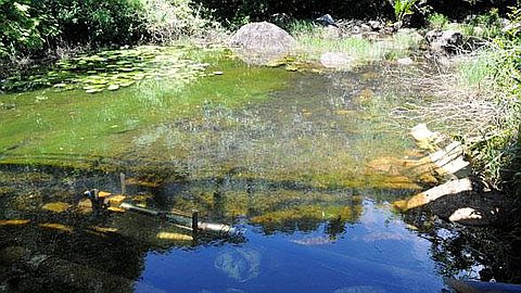 PNQ: Beebeejaun Admits Delay in Arnaud Dam Construction