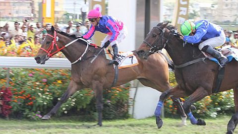 Hippisme: Albert Mooney Relève le Défi
