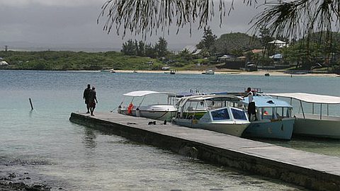 Repeuplement du Lagon : 5 000 Alevins de Cordonnier Lâchés à Blue-Bay