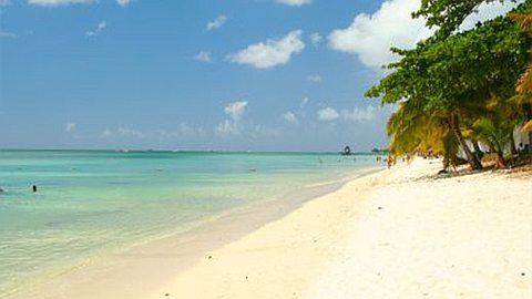 Des Permis EIA Octroyés à Trois Projets en une Semaine