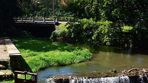 Réduit : Le «Bassin Canard» n’intéresse plus grand monde