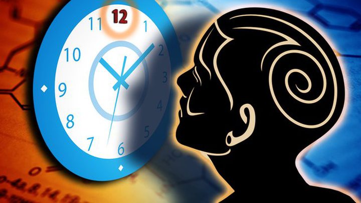 How Your Brain Perceives Time...