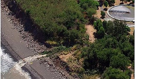 Risk Shark: Reunion Must Correct Treatment of its Wastewater