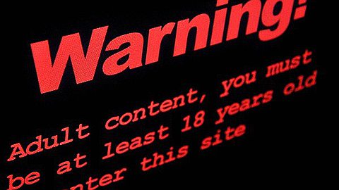 Internet: Authorities Want to Restrict Access to Pornographic Websites