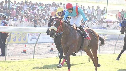 Horse Racing - 10th day: Eskimo Roll Crowned "King of kilometers"