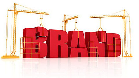 12 Step Guide to Having an Authoritative Brand Presence Online