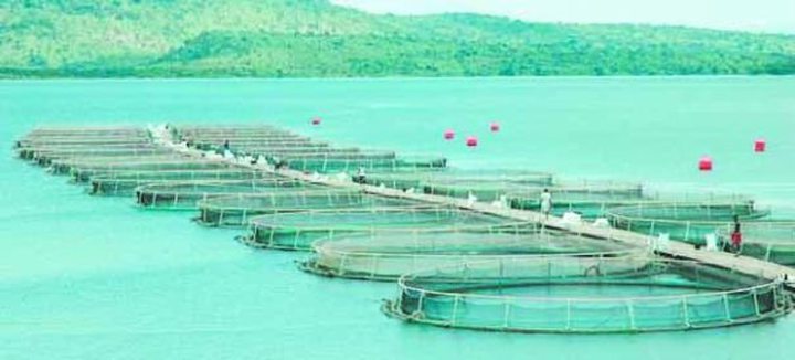 Aquaculture Concession Fees Soon Scaled Down