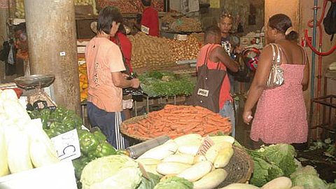 Agricultural Products Quality in Center of Conference at Monday