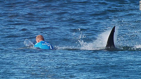 Surfer Mick Fanning Escapes Shark Attack