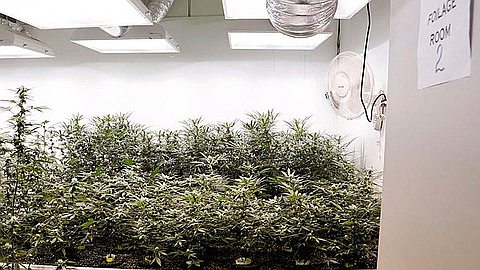 Washington State Issues 24 Marijuana Shop Licenses