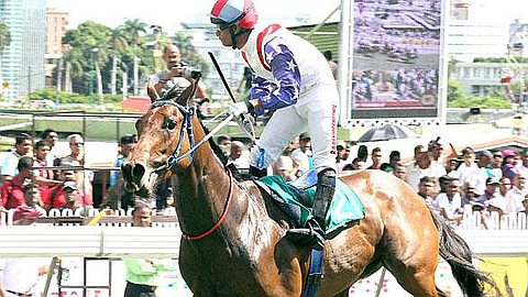 Horse Racing - Day 14: The 3-year-old Championship Starts this Saturday