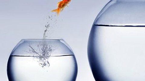 What Should I Know Before I Change Careers?