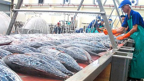 Mauritius Tuna Processor Blames Lower Earnings on Thai Access to EU