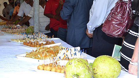 Breadfruit: the Backyard to Our Plates