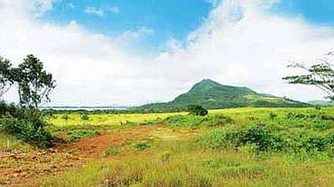 Investissements : Rivea Propose des Terrains aux Jeunes Professionnels