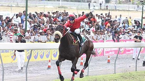 Horse Racing, 22nd day: Polar Bound Wins Stopped!