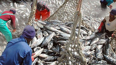 Ministry of Fisheries Defends Agreements with EU