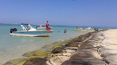 Pêche – Barachois : déficit de monitoring et de législation adéquate