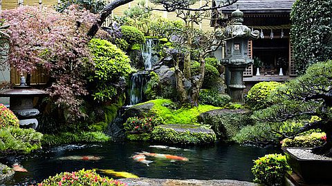 Picture of the Day: Backyard Garden in Japan