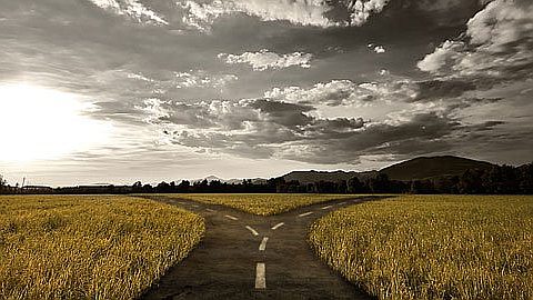 5 Decision-making Types: Which One Are You?