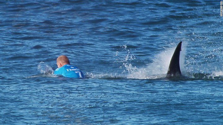 Surfer Mick Fanning Escapes Shark Attack